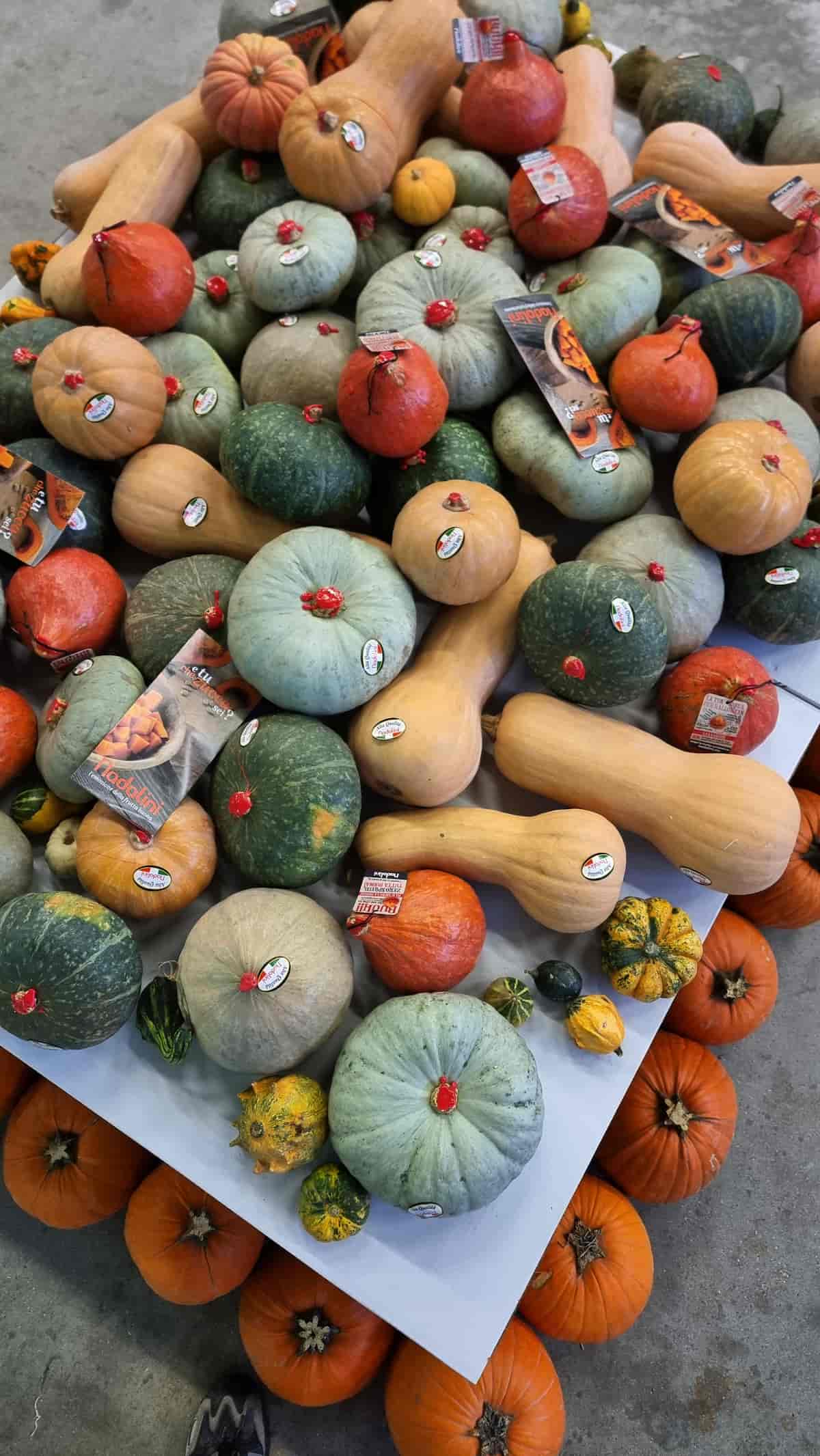 Scopri il mondo Nadalini